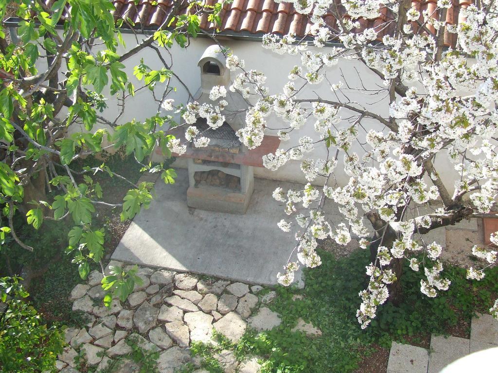 Villa Dalmatia Zadar Extérieur photo